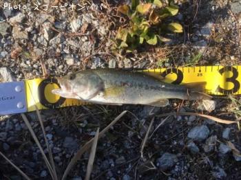 �֥�å��Х�