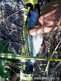 �֥�å��Х�