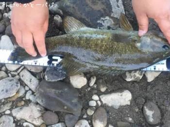 �֥�å��Х�