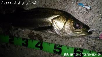 �����Х�