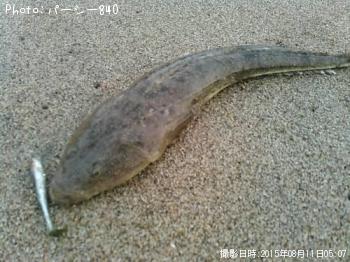 �ޥ���