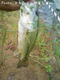 �֥�å��Х�