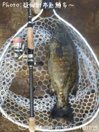 ¥¹¥â¡¼¥ë¥Þ¥¦¥¹