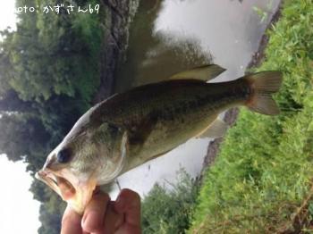 �֥�å��Х�