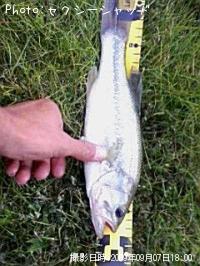 ¥Ö¥é¥Ã¥¯¥Ð¥¹