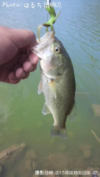 ¥Ö¥é¥Ã¥¯¥Ð¥¹