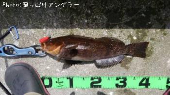 �����ʥ�