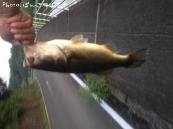 �֥�å��Х�