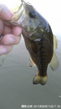 ¥Ö¥é¥Ã¥¯¥Ð¥¹