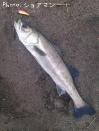 �����Х�