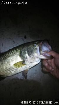 �֥�å��Х�