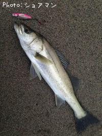 �����Х�