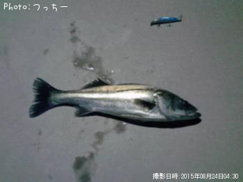 �����Х�