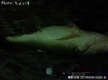 �֥�å��Х�