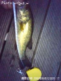 �֥�å��Х�