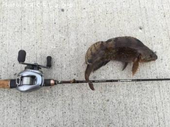 �����ʥ�