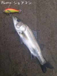 �����Х�