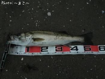 �����ե����Х�