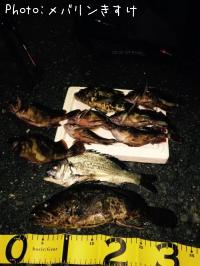 �����Υ����̥�����