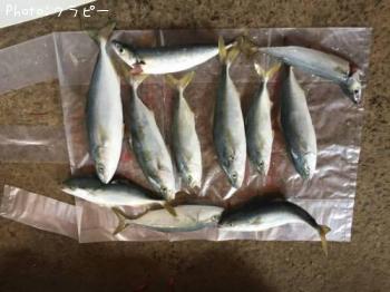 ���С��䥺