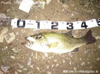 ¥Ö¥é¥Ã¥¯¥Ð¥¹