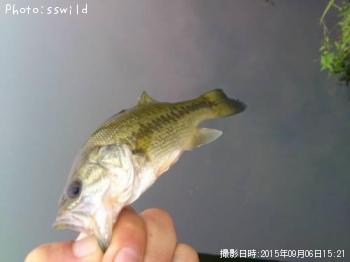 ¥Ö¥é¥Ã¥¯¥Ð¥¹