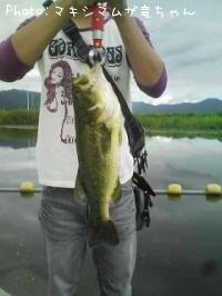 �֥�å��Х�