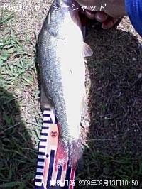 �֥�å��Х�