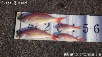 ¥¤¥È¥è¥ê¥À¥¤