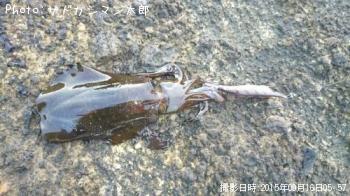 �����ꥤ��