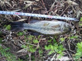 ¥Ö¥é¥Ã¥¯¥Ð¥¹