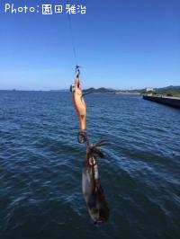 ¥¢¥ª¥ê¥¤¥«