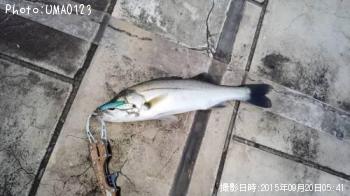 �����Х�