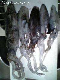 �����ꥤ��