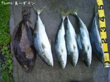 ���ʥ����ҥ��