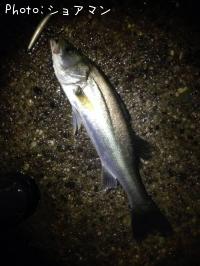 �����Х�