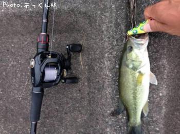 �֥�å��Х�