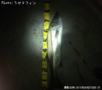 �����Х�