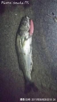 �����Х�