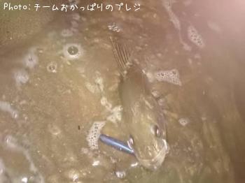 �����Х�