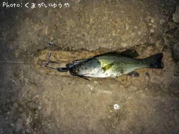 �顼���ޥ���