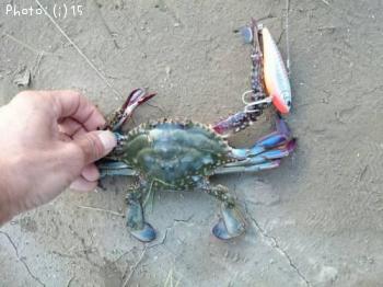 ¥¨¥¤¡¢¥«¥Ë