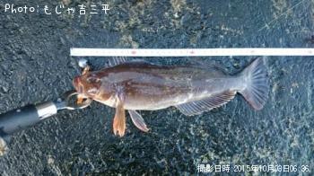 �����ʥ�