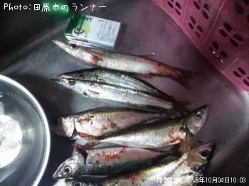 ¥«¥Þ¥¹¡õ¥µ¥Ð