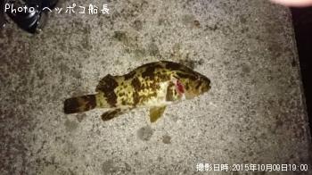 �����Υ���Х�