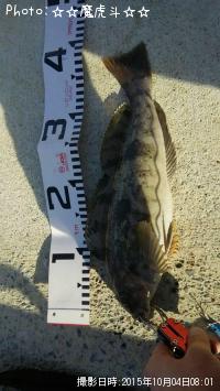 �����ʥ�