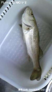 �����Х�