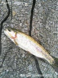 �쥤��ܡ��ȥ饦��