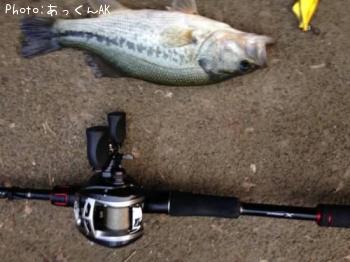 �֥�å��Х�