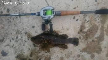 �����Υ���Х�